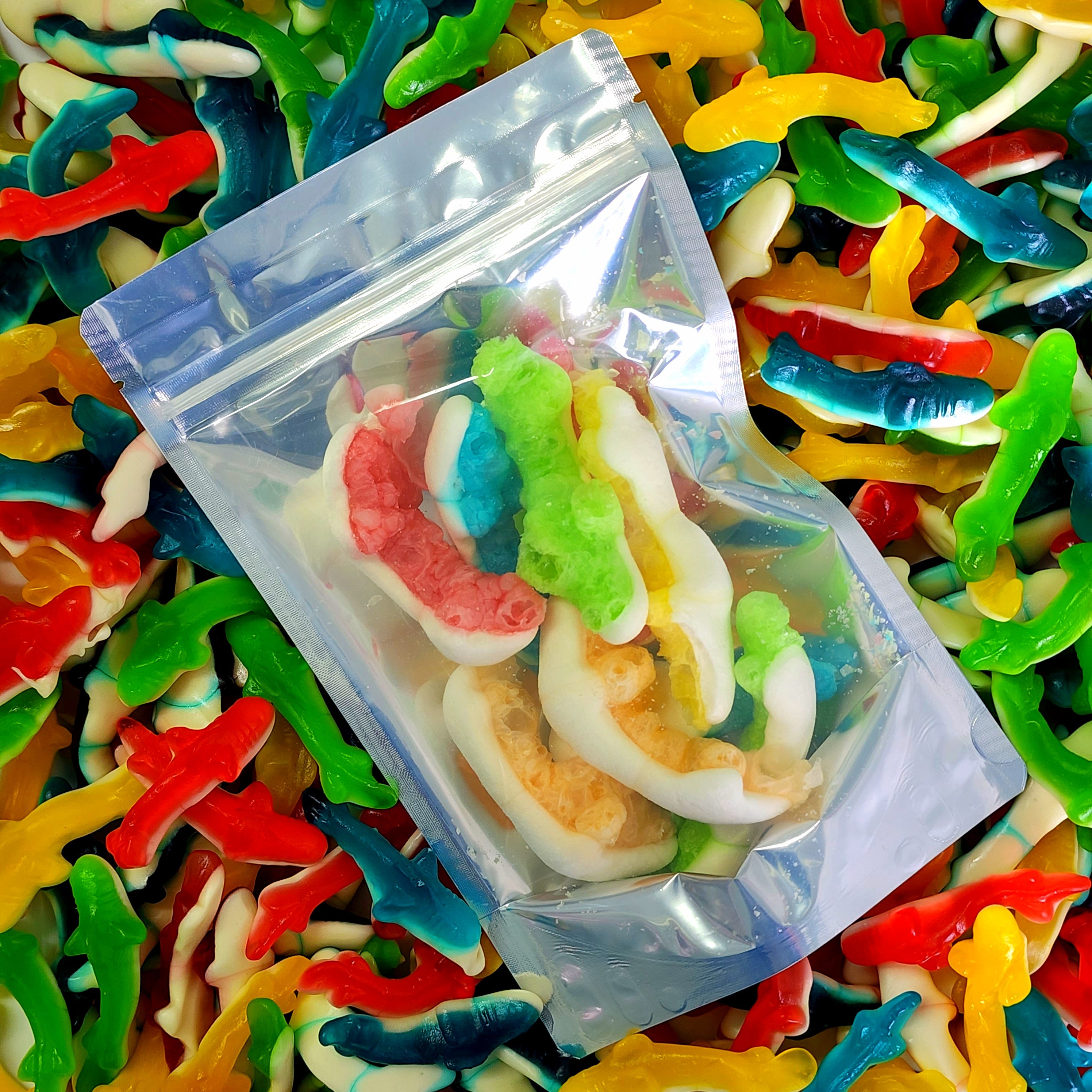 Baby Sharks Extended Family - Pik n Mix Lollies NZ